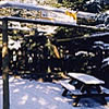 Wildcat enclosures at Highland Wildlife Park